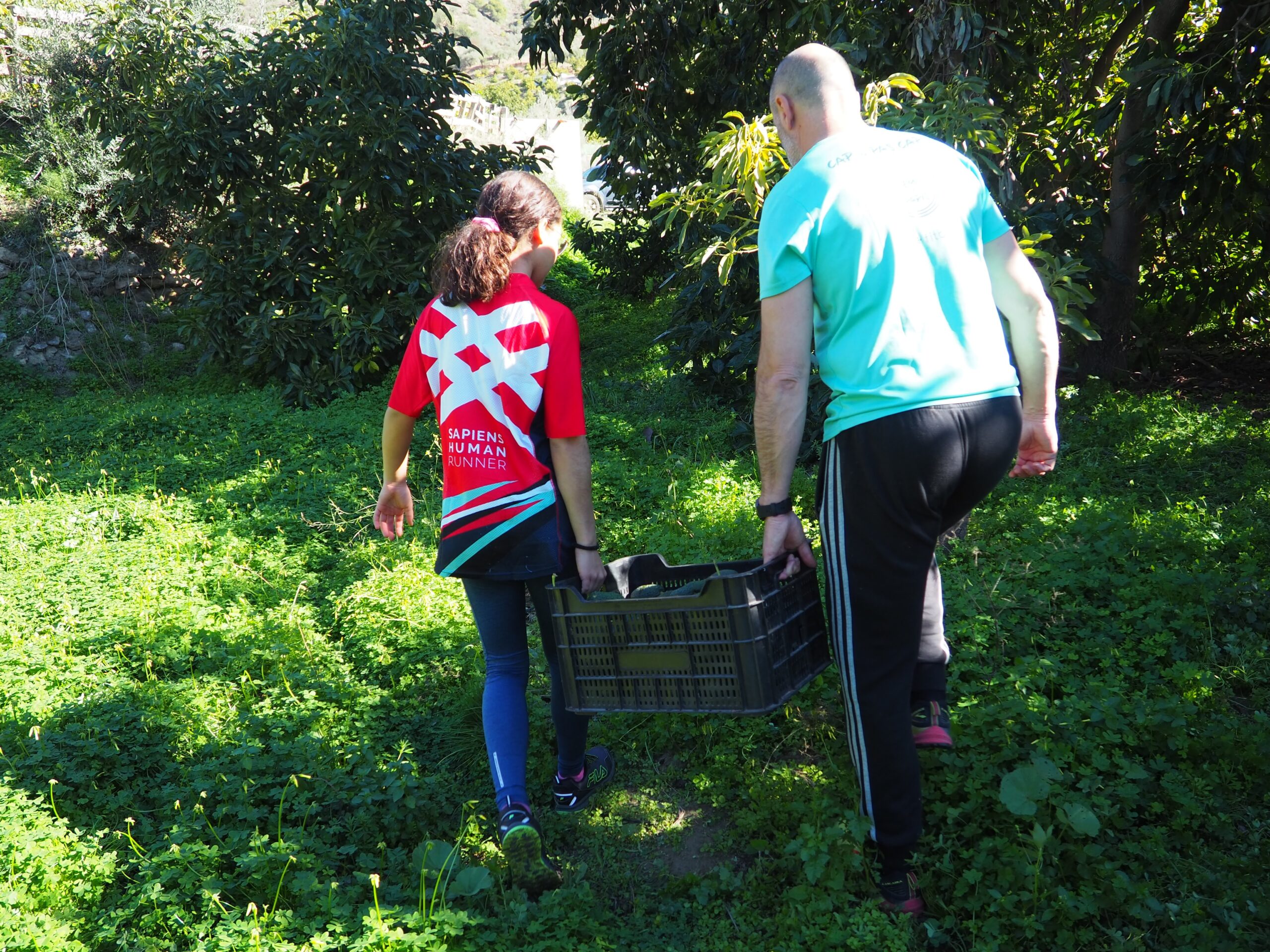 Dos personas llevando una caja por la finca de aguacates de Guajacate en Los Guájares.